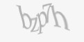 Защитный код